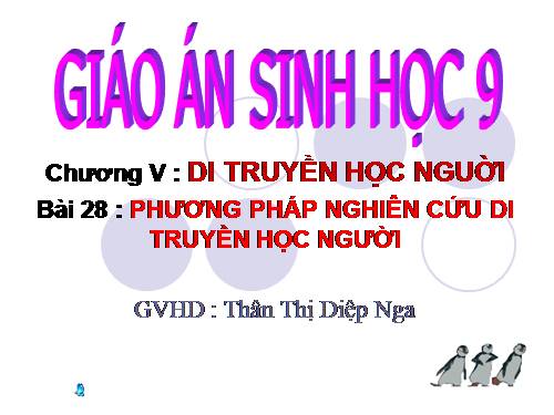 Bài 28. Phương pháp nghiên cứu di truyền người