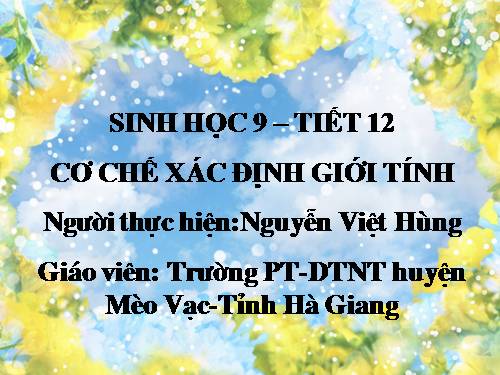 Bài 12. Cơ chế xác định giới tính