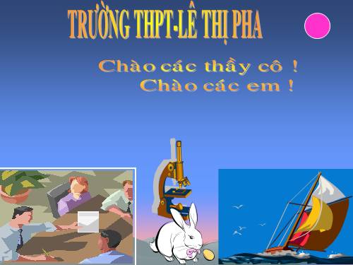 Bài 24. Đột biến số lượng nhiễm sắc thể (tiếp theo)