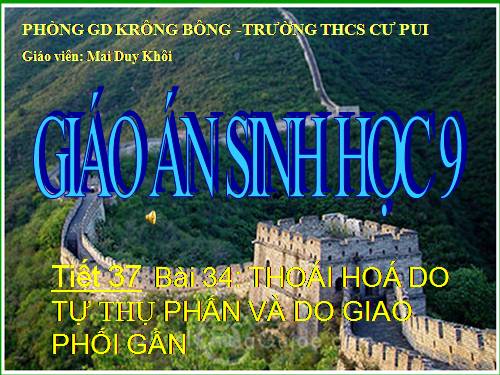 Bài 34. Thoái hoá do tự thụ phấn và do giao phối gần