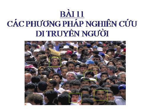 Bài 28. Phương pháp nghiên cứu di truyền người