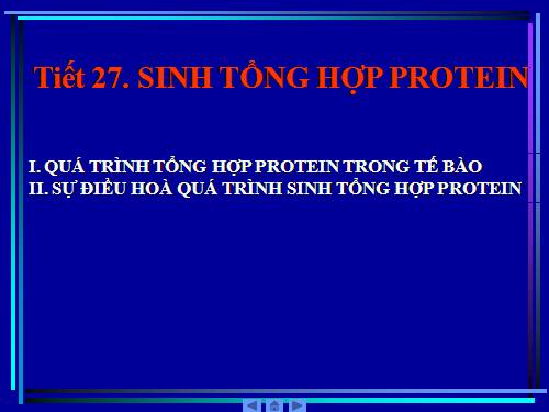 Tiết 27. Sinh tổng hợp Prôtein