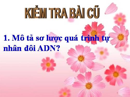 Bài 17. Mối quan hệ giữa gen và ARN