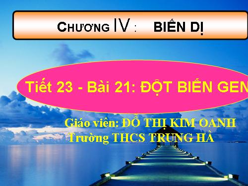 Bài 21. Đột biến gen