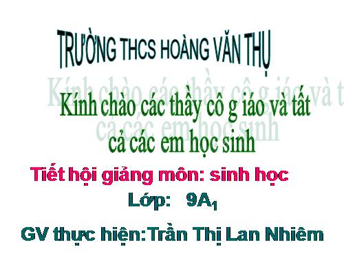 Bài 28. Phương pháp nghiên cứu di truyền người