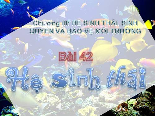 Bài 51. Thực hành: Hệ sinh thái