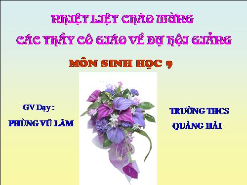 Bài 41. Môi trường và các nhân tố sinh thái