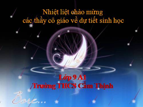 Bài 50. Hệ sinh thái