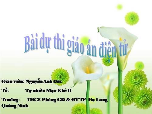 Bài 17. Mối quan hệ giữa gen và ARN