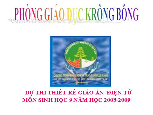 Bài 61. Luật Bảo vệ môi trường