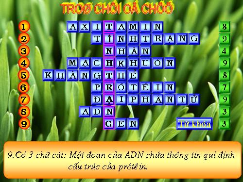 Ô CHỮ BÀI MỐI QUAN HỆ GIỮA GEN VÀ TÍNH TRẠNG