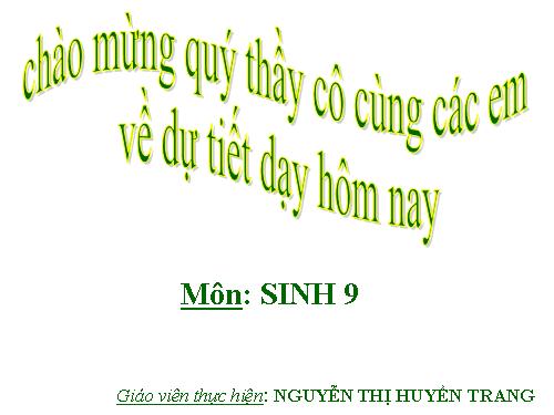 Bài 19. Mối quan hệ giữa gen và tính trạng