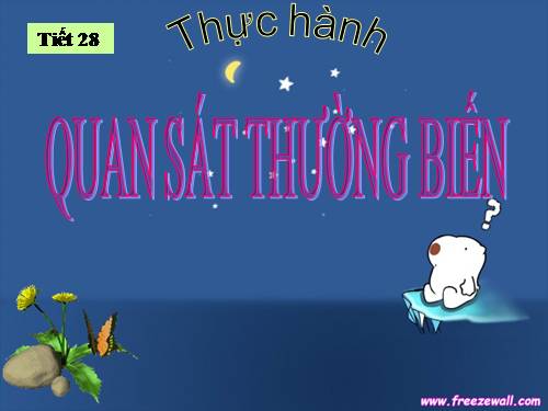 Bài 27. Thực hành: Quan sát thường biến