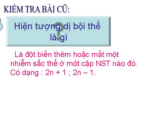 Bài 24. Đột biến số lượng nhiễm sắc thể (tiếp theo)