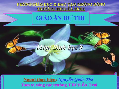 Bài 35. Ưu thế lai