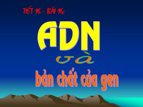 Bài 16. ADN và bản chất của gen