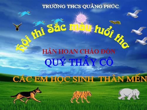 san choi sac mau tuoi tho hay