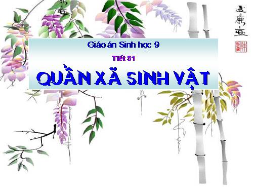 Bài 49. Quần xã sinh vật