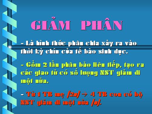 Bài 10. Giảm phân