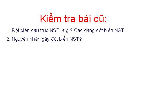 Bài 24. Đột biến số lượng nhiễm sắc thể (tiếp theo)