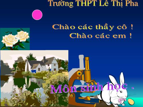 Bài 50. Hệ sinh thái