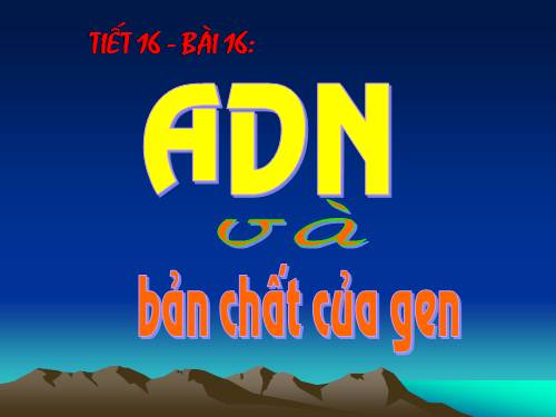 Bài 16. ADN và bản chất của gen