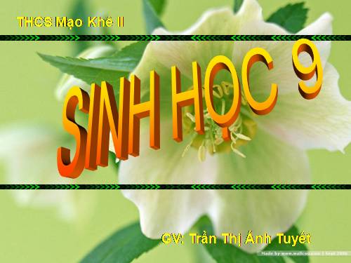 Bài 50. Hệ sinh thái