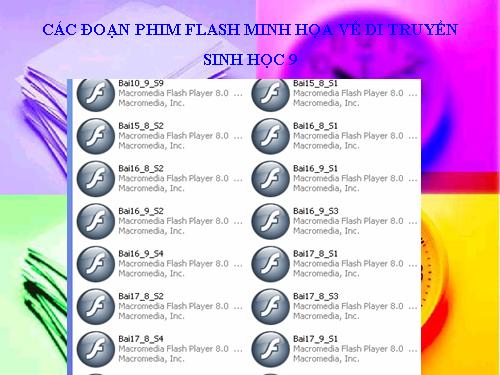 Phim Flash phần Di truyền