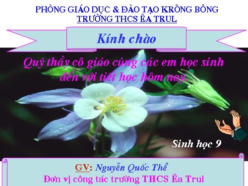 Bài 41. Môi trường và các nhân tố sinh thái