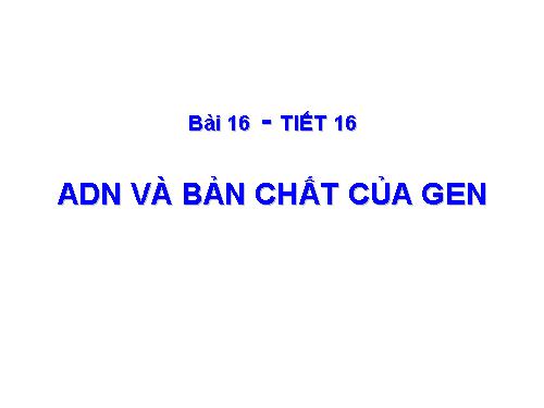 Bài 16. ADN và bản chất của gen