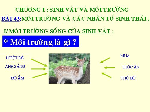 Bài 41. Môi trường và các nhân tố sinh thái