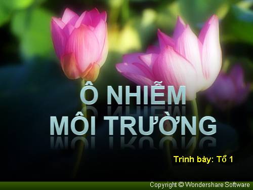 Bài 54. Ô nhiễm môi trường