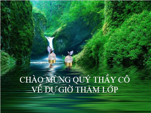 Bài 41. Môi trường và các nhân tố sinh thái