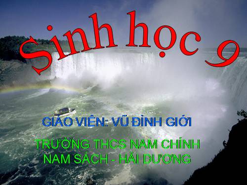 Bài 58. Sử dụng hợp lí tài nguyên thiên nhiên