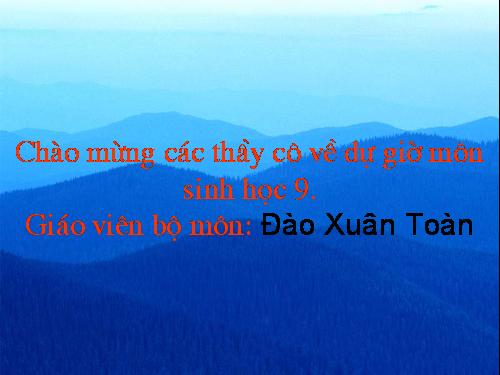 Bài 16. ADN và bản chất của gen