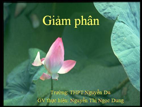 Bài 10. Giảm phân