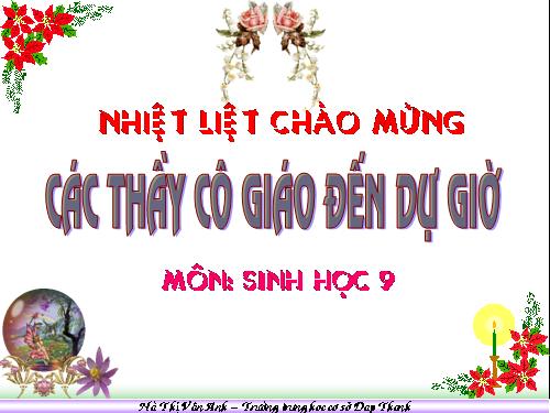 Bài 50. Hệ sinh thái