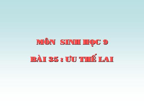 Bài 35. Ưu thế lai