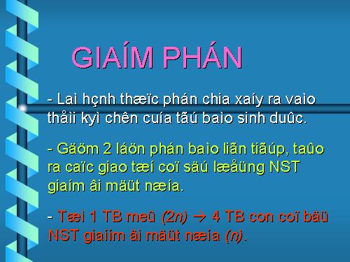 Bài 10. Giảm phân