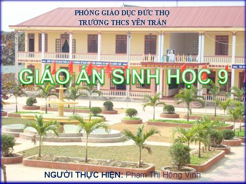 Bài 19. Mối quan hệ giữa gen và tính trạng