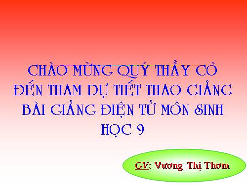 Bài 50. Hệ sinh thái