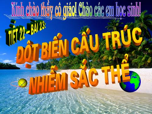 Bài 22. Đột biến cấu trúc nhiễm sắc thể