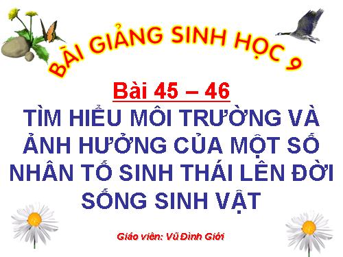 Bài 45. Thực hành: Tìm hiểu môi trường và ảnh hưởng của một số nhân tố sinh thái lên đời sống sinh vật