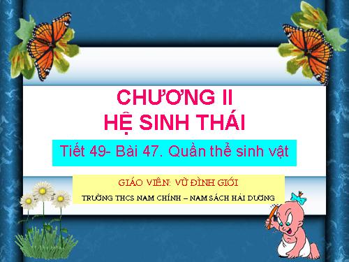 Bài 47. Quần thể sinh vật