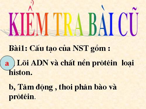 Bài 15. ADN