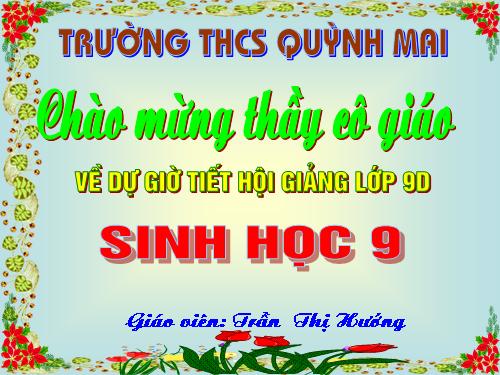 Bài 28. Phương pháp nghiên cứu di truyền người