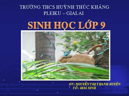 Bài 47. Quần thể sinh vật