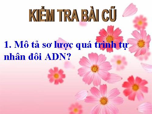 Bài 17. Mối quan hệ giữa gen và ARN