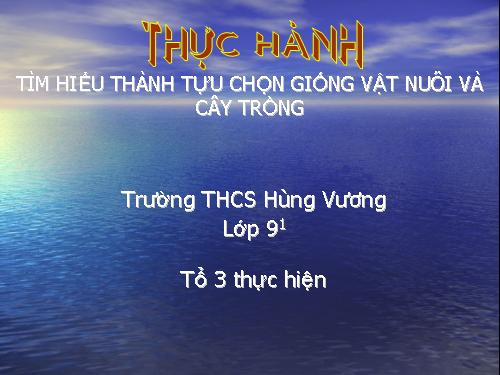 Bài 39. Thực hành: Tìm hiểu thành tựu chọn giống vật nuôi và cây trồng