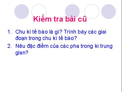 Bài 10. Giảm phân